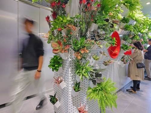 PP GARDEN
