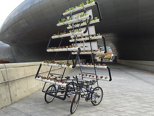 BIKE SHARE FARM