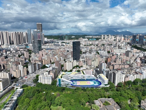 Bantian Street Baogang Elementary School